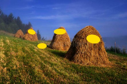 Hayricks with yellow circles.