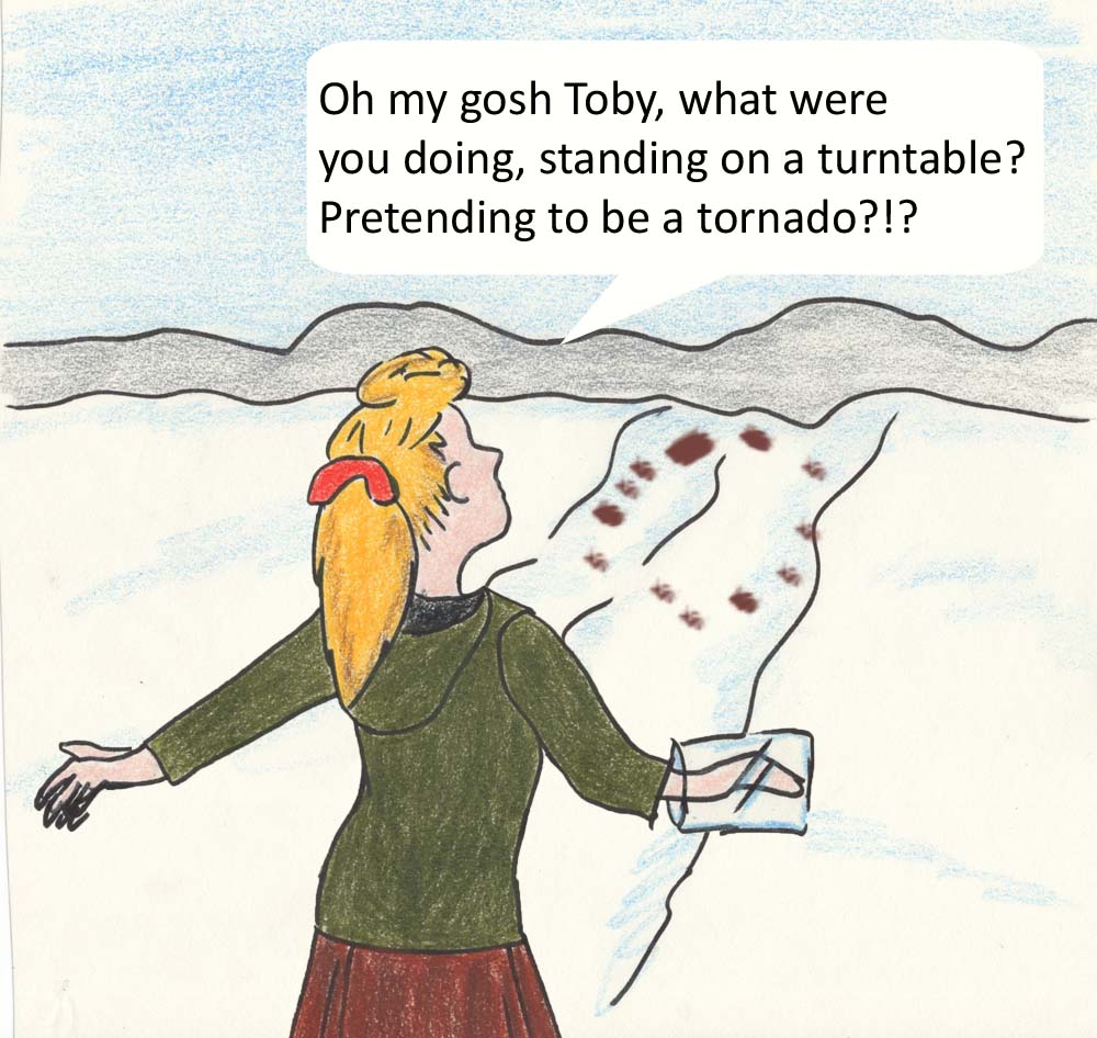 Oh my gosh Toby, what were you doing, standing on a turntable? Pretending to be a tonado?!?