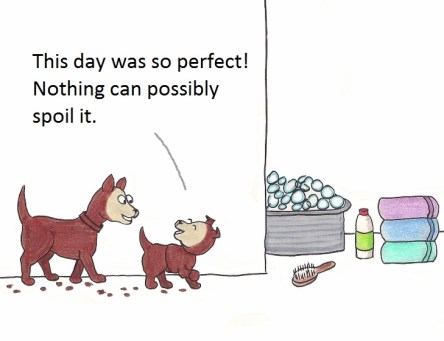 This day was so perfect! Nothing could possibly spoil it.