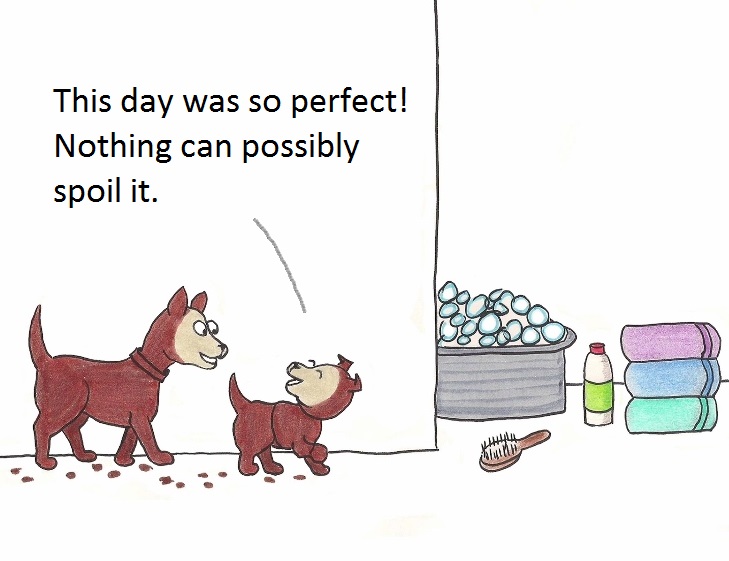 This day was so perfect! Nothing could possibly spoil it.