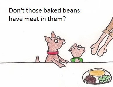Little dog asks: Don't those baked beans have meat in them?