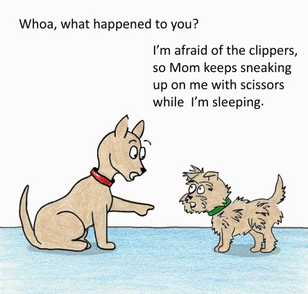 Whoa, what happened to you? I'm afraid of the clippers, so Mom keeps sneaking up on me with scissors when I'm sleeping.