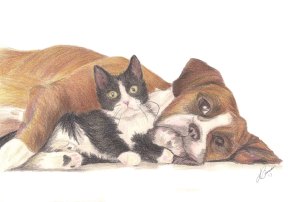 Pencil drawing of a boxer and a kitty lying down beside each other.