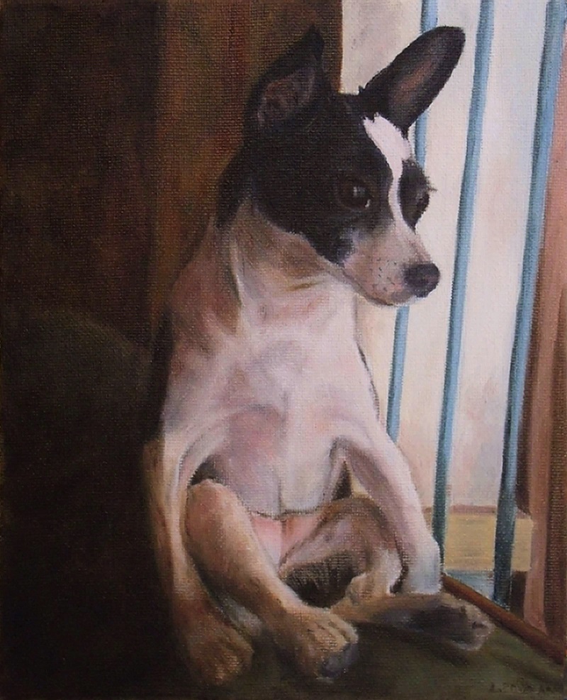 Lady Chihuahua sits on Daddy's chair next to the window. Oil on canvas.