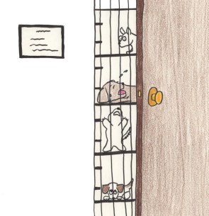 Puppies in stacked kennels cry