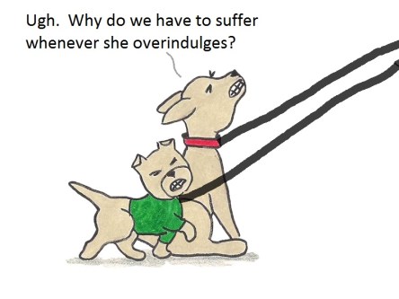 Ugh, why do we have to suffer whenever she overindulges?