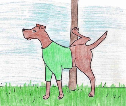 Sketch of Doberman peeing on a pole with his leg lifted.