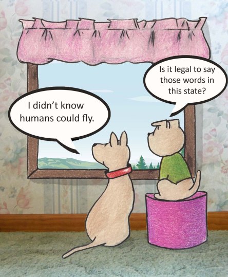 I didn't know humans could fly. Is it legal to say those words in this state?