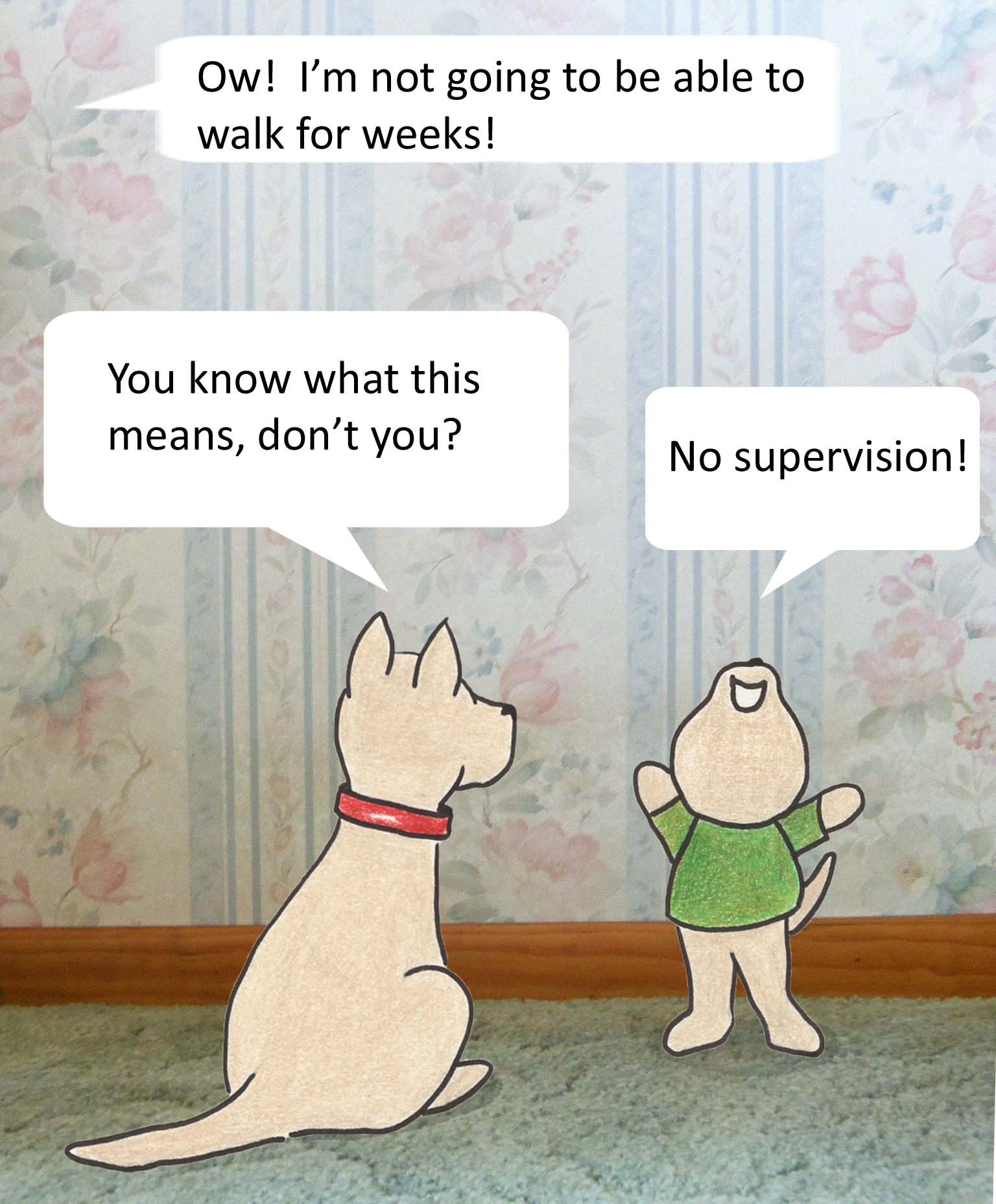 Ow! I''m not going to be able to walk for weeks! You know what this means, don't you? No supervision!