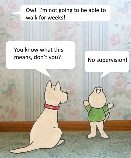 Ow! I''m not going to be able to walk for weeks! You know what this means, don't you? No supervision!