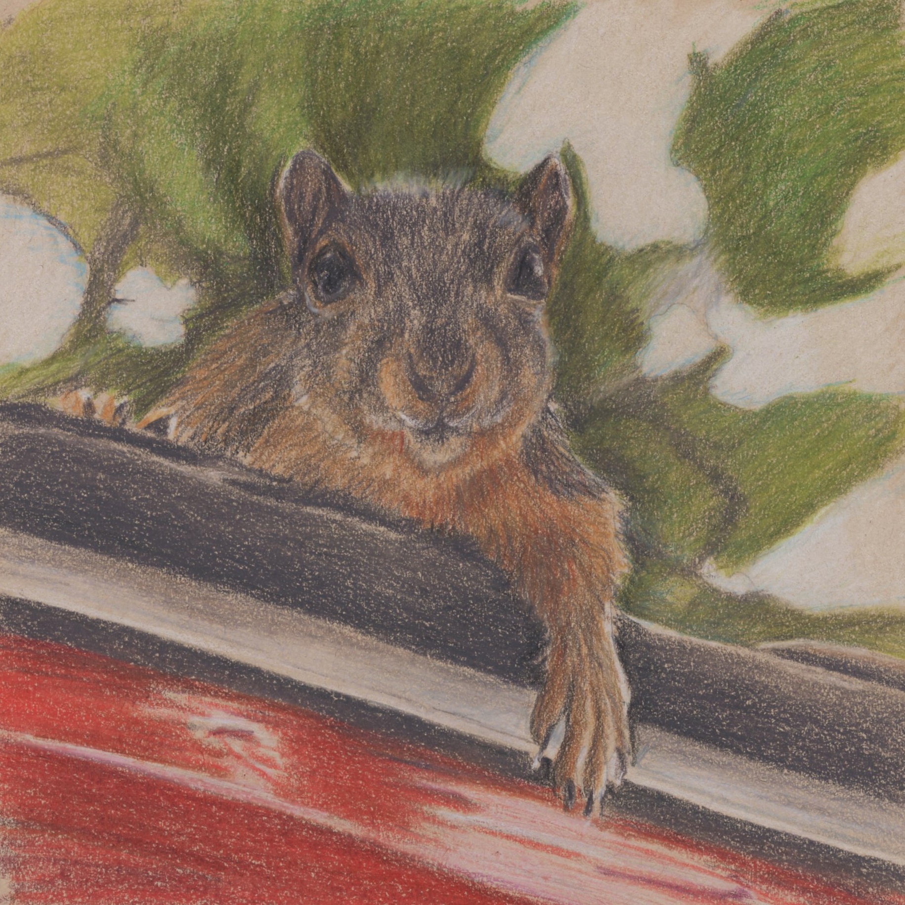 Drawing of squirrel