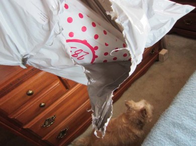 Nah, I'm not interested