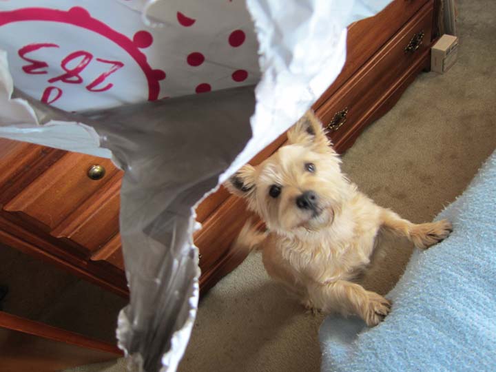 Ooh, I can't help myself. I really want it!