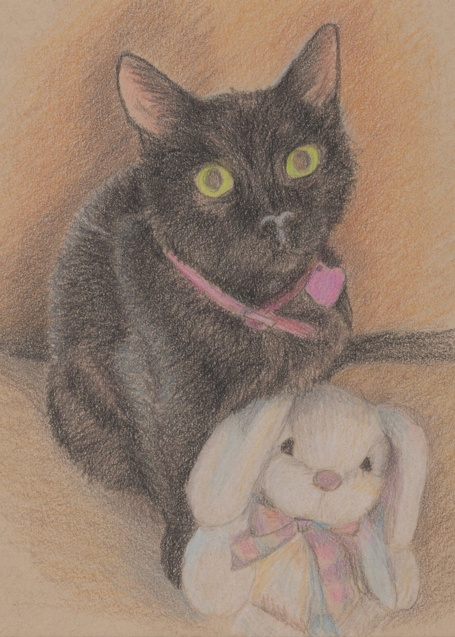 Sketch of black cat with stuffed white bunny