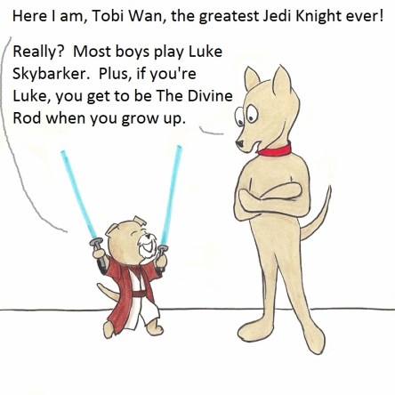 Here I am, Tobi Wan, the greatest Jedi knight ever! Really? Most boys play Luke Skybarker. Plus, if you're Luke, you get to be The Divine Rod when you grow up.