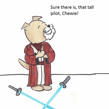 Sure there is. It's that tall pilot Chewie!Puppy insists that there is a Yorkie in Star Wars - the tall pilot named Chewie.
