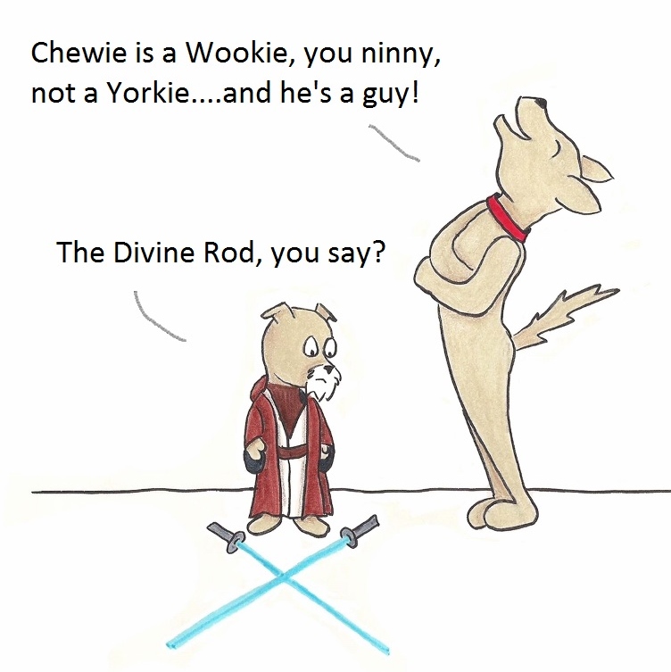 Chewie is Wookie, you ninny, not a Y orkie...and he's a guy! The Divine Rod, you say?