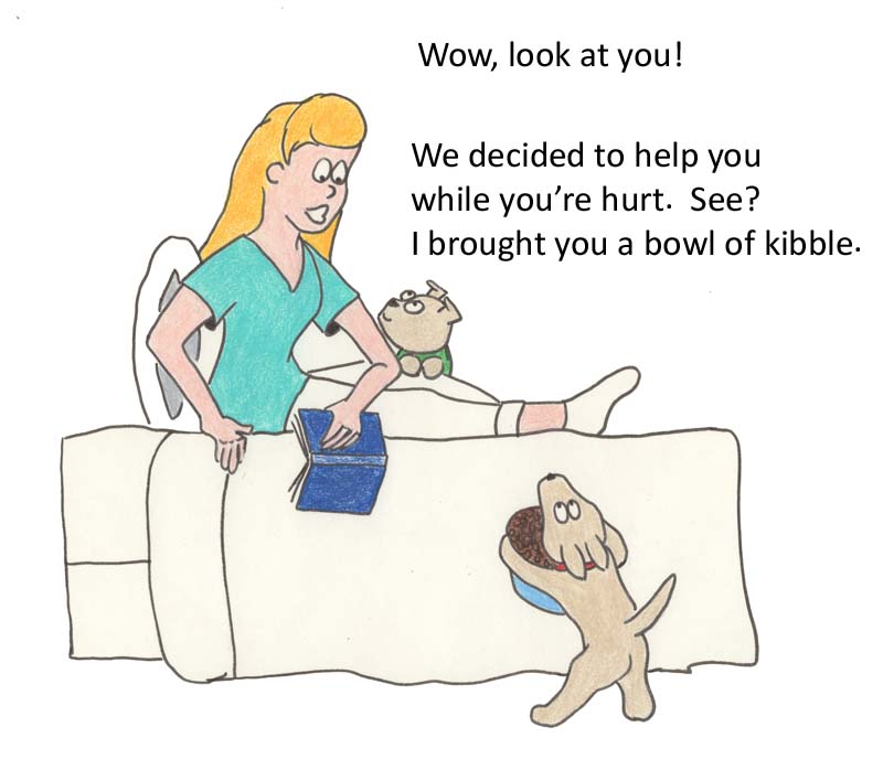 Wow, look at you!  We decidded to help you while you're hurt.  See?  I brought you a bowl of kibble.  