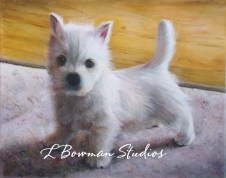 Oil painting of Westie puppy.