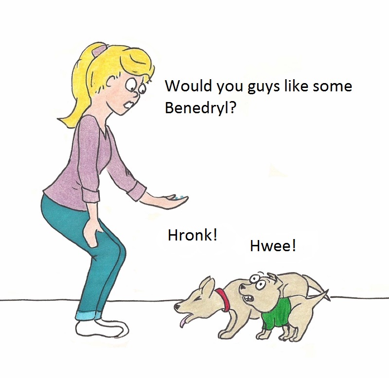 Hronk! Hwee! Would you guys like some Benedryl?
