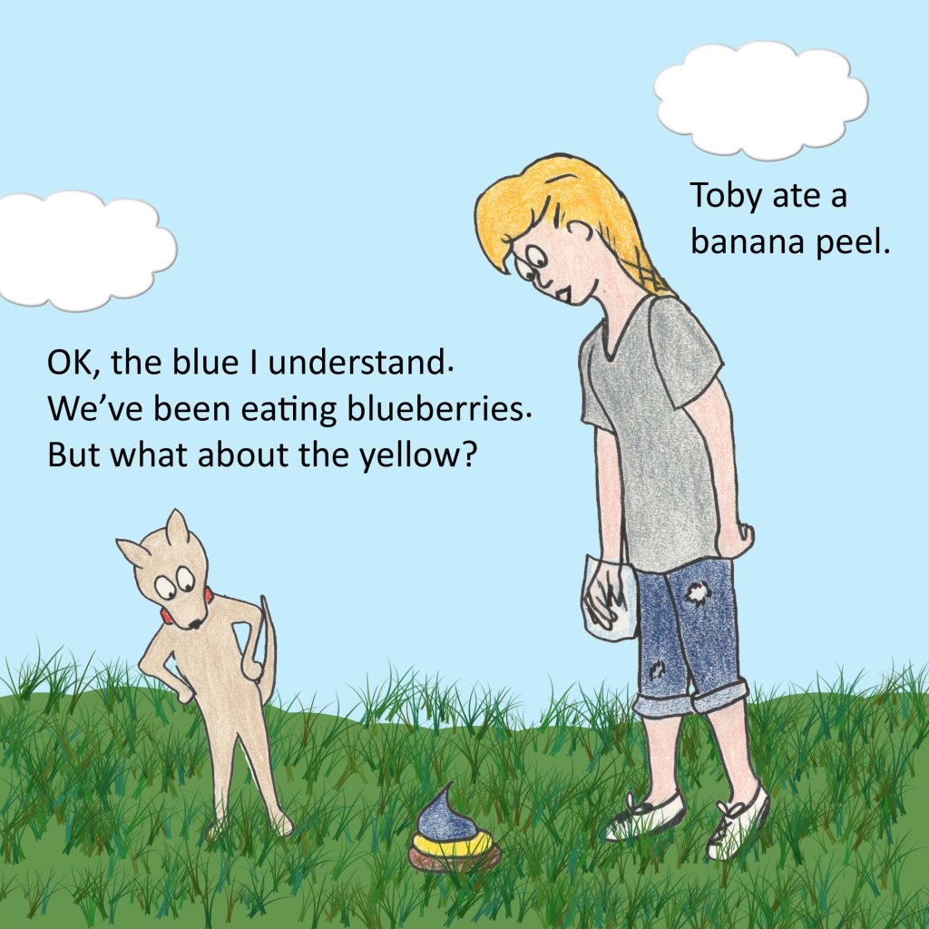 OK, the blue I understand. We've been eating blueberries. But what about the yellow?