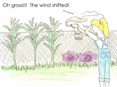 Oh gross! The wind shifted!