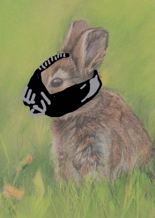 Drawing of bunny wearing Bane mask