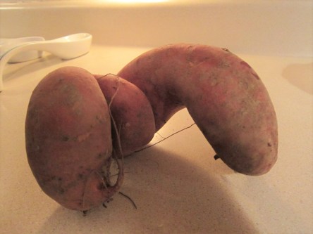 Almost naughty looking sweet potato