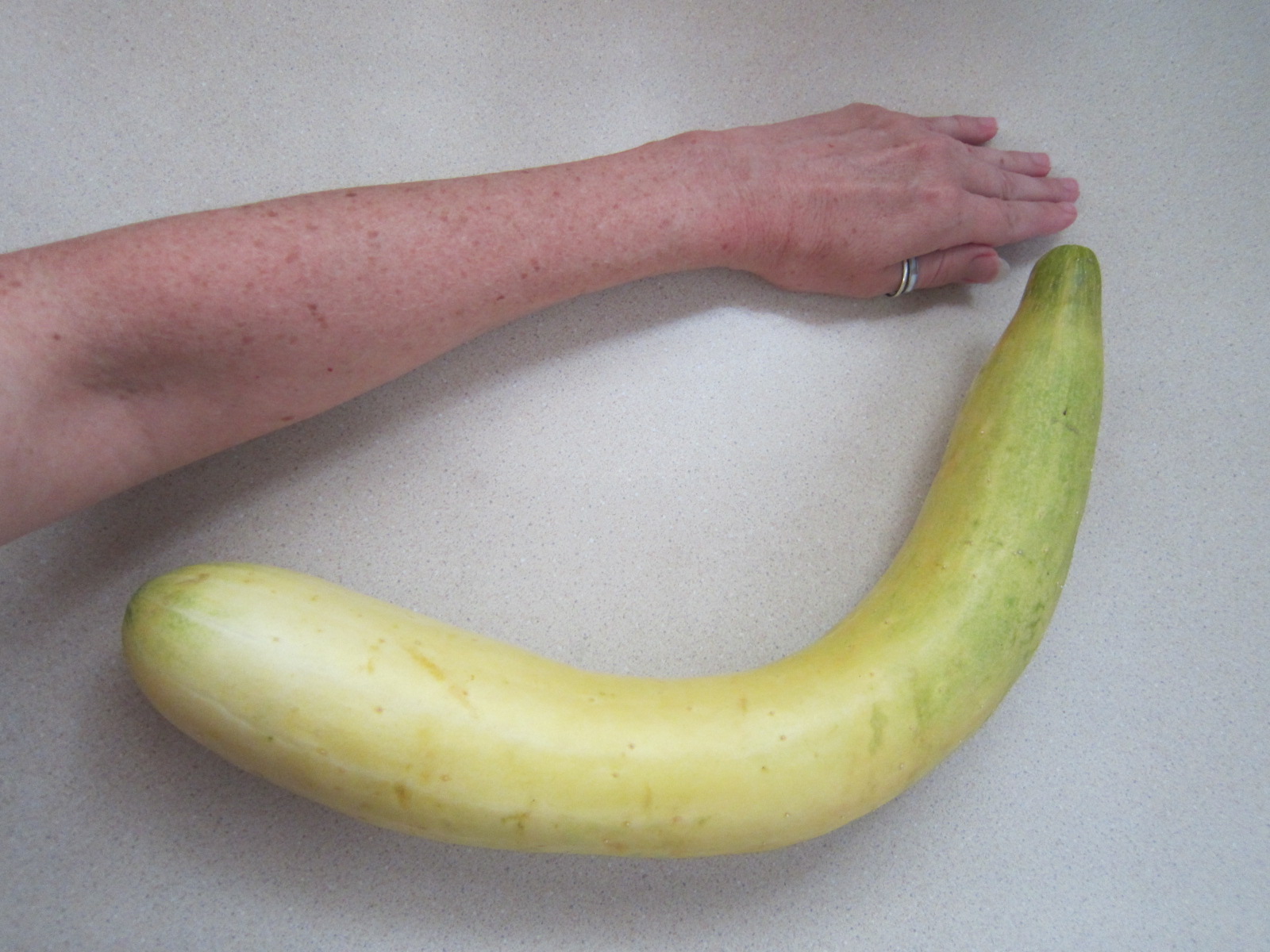 Huge yellow cucumber