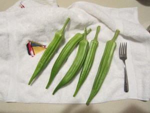 Large garden okra