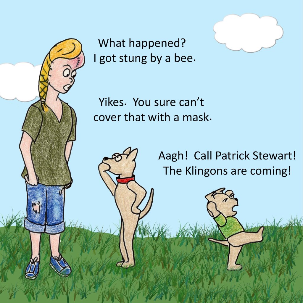 What happened? I got stung by a bee. Yikes. You sure can't cover that with a mask. Aagh! Call Patrick Stewart! The Klingons are coming!