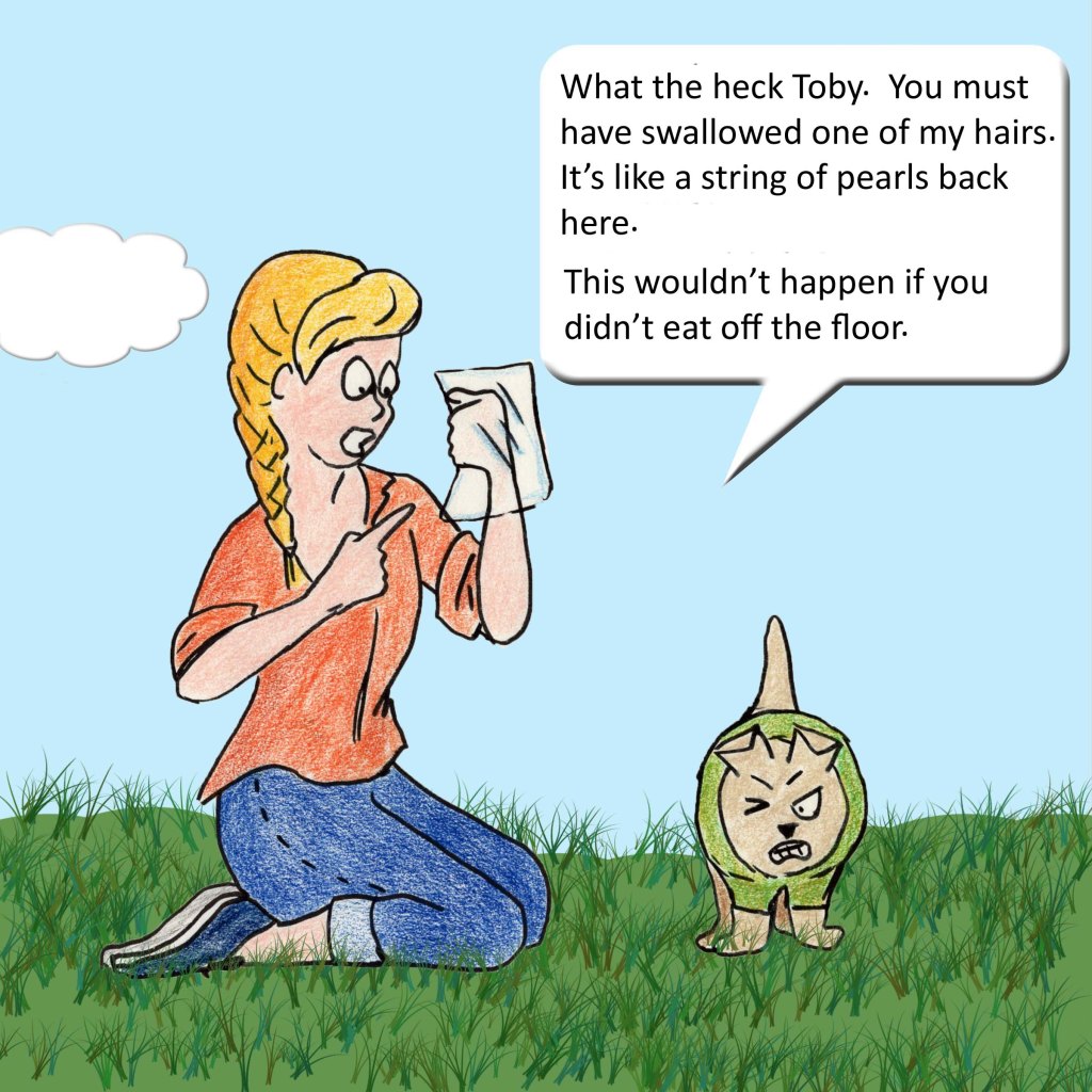 What the heck, Toby. You must have swallowed one of my hairs. It's like a string of black pearls back here. This wouldn't happen if you didnt eat off the floor.