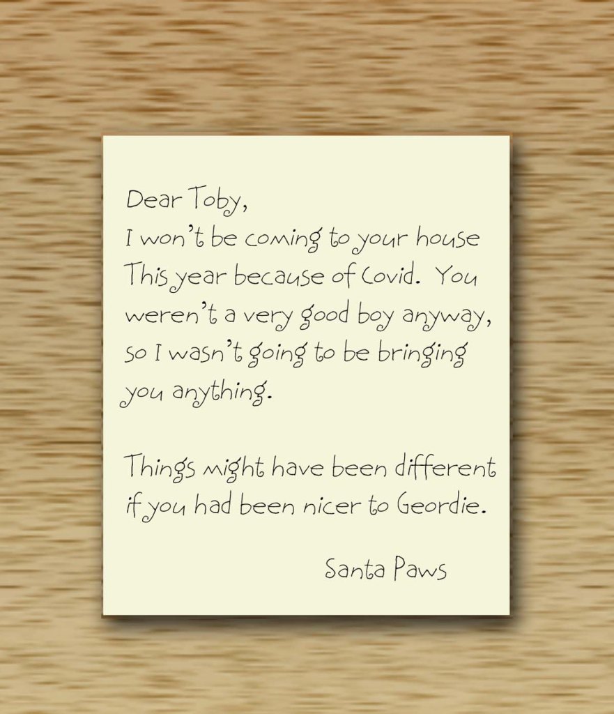 Dear Toby, I won't be coming to your house this year because of Covid. You weren't a very good boy anyway, so I wasn't going to be bringing you anything. Things might have been didfferent if you had been nicer to Geordie. Santa Paws.