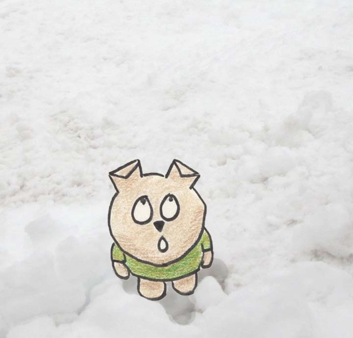 Puppy standing in deep snow, looking up in awe.