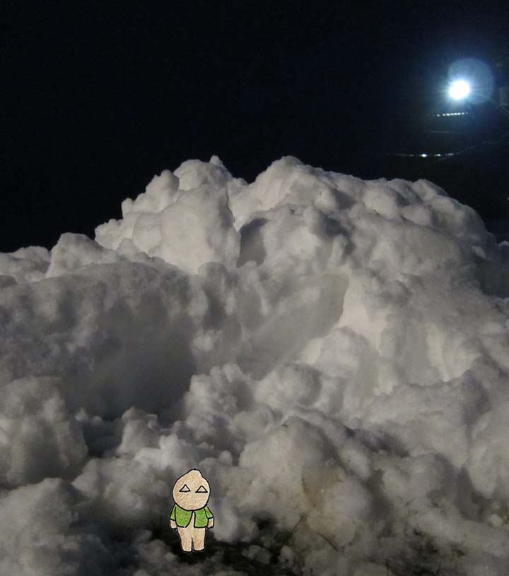 Puppy stannding at base of huge snow pile