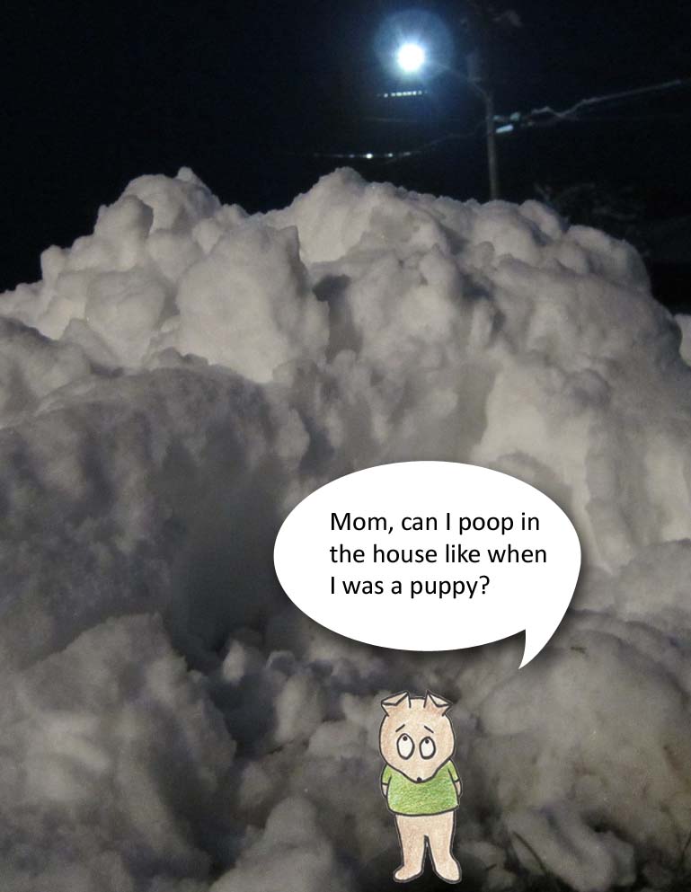 Mom, can I poop in the house like when I was a puppy?