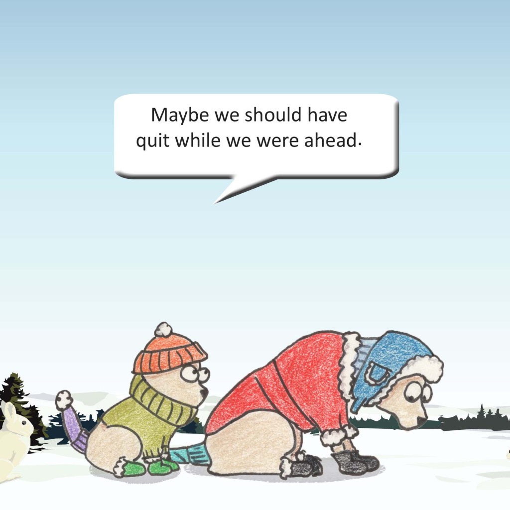 Maybe we should have quit while we were ahead.