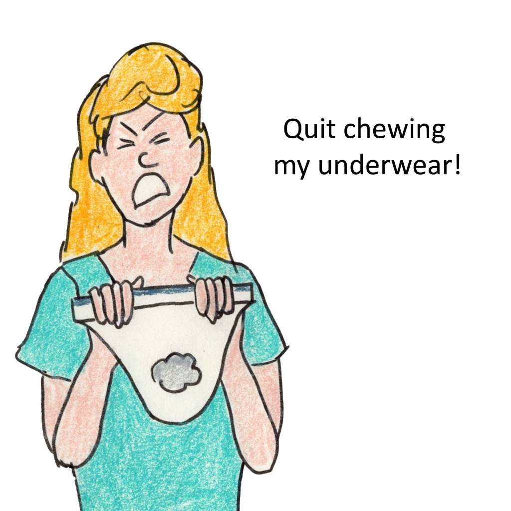 Quit chewing my underwear!