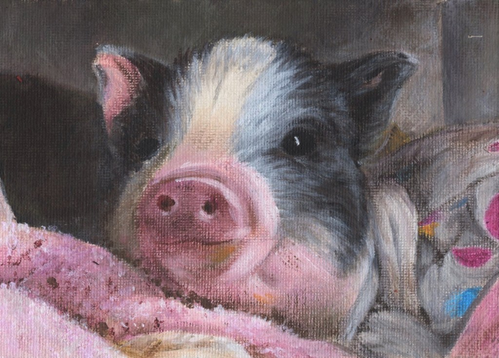 Little pig smiles as she lies on her favorite blanket