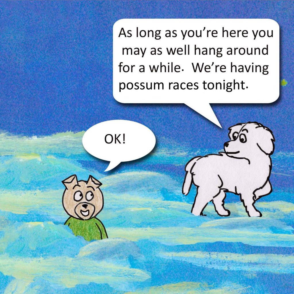 As long as you're here you may as well hang around for a while. We're having possum races tonight. OK!
