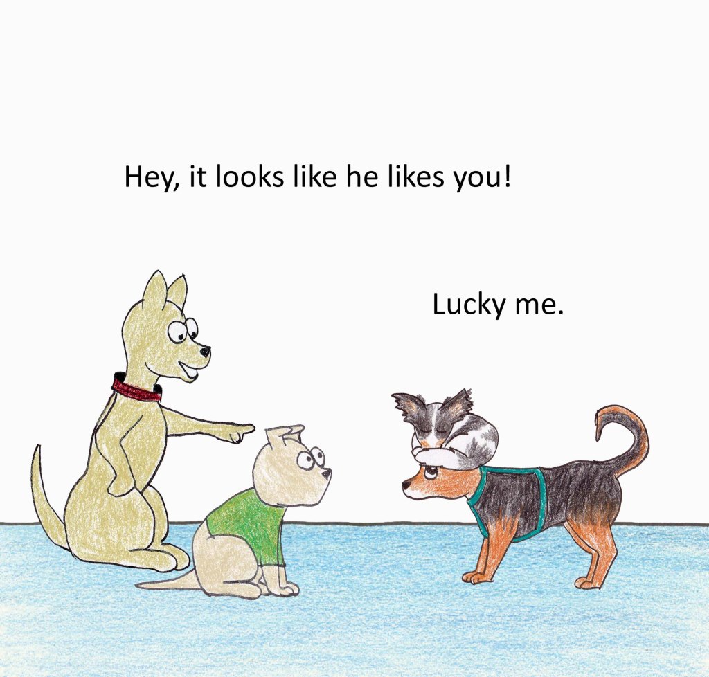 Hey, it looks like he likes you! Lucky me.