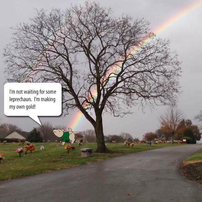 I'm not waiting for some leprechaun. I'm making my own pot of gold!