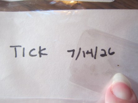 Tick 7/14/26