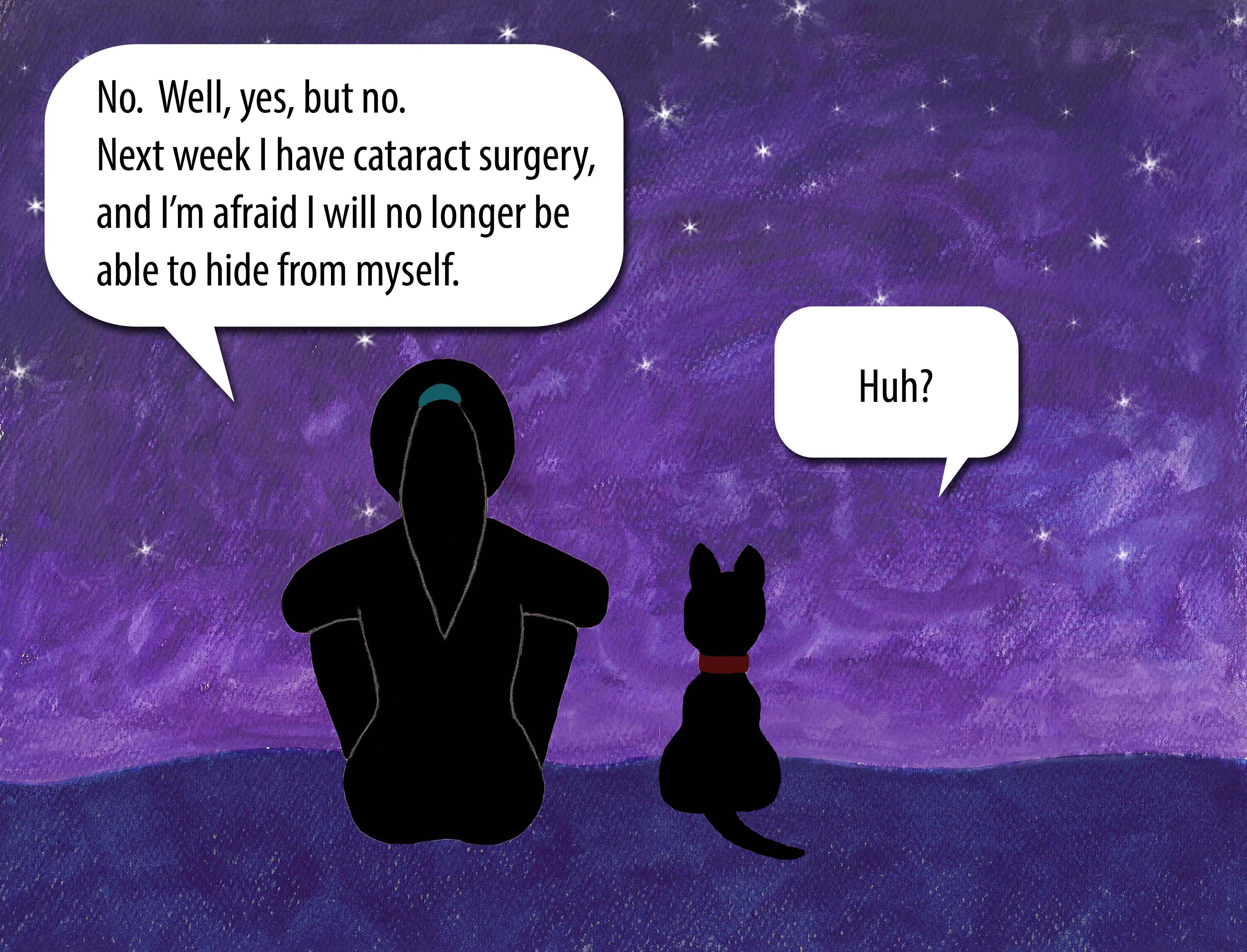 No. Well, yes, but no. Next week I have cataract surgery, and I'm afraid I will no longer be able to hide from myself. Huh?